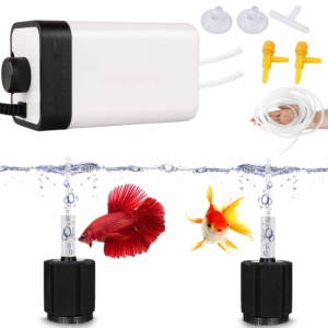 #CT-202 (2 Way, Combo - 1)