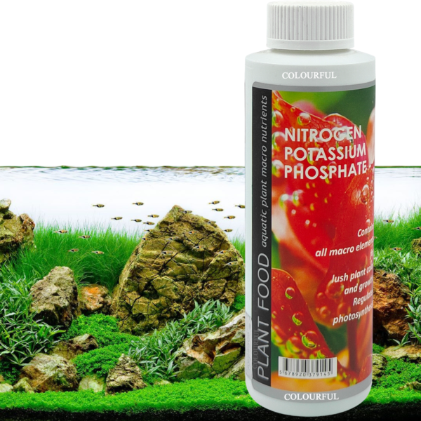 Plant Food( Colour and Growth) 220ml