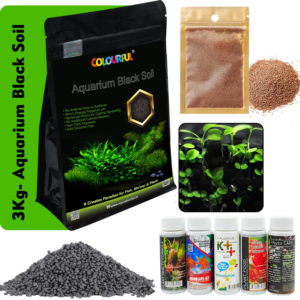 3Kg Soil + Carpet Plant Seeds Small + 5 in1 Plant Fertilizers Medicine