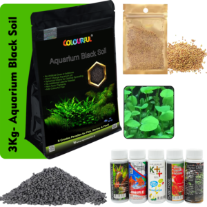 3Kg Soil + Love Plant Seeds + 5 in1 Plant Fertilizers Medicine